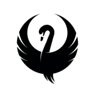  Kode Promo Teal Swan